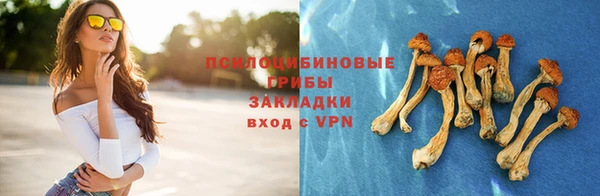 спиды Россошь