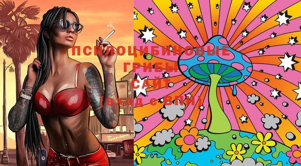 spice Валдай
