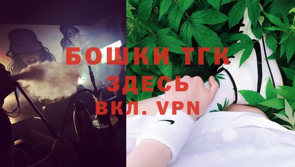 индика Абдулино