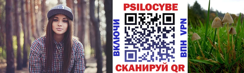 Галлюциногенные грибы MAGIC MUSHROOMS  кракен ТОР  Вичуга  купить закладку 